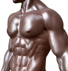 bodybuilder