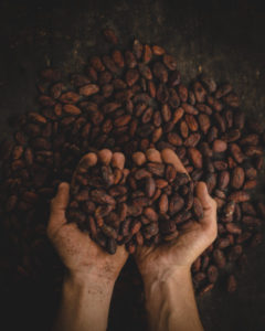 cacao crudo